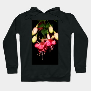 Pink Fuchsia Hoodie